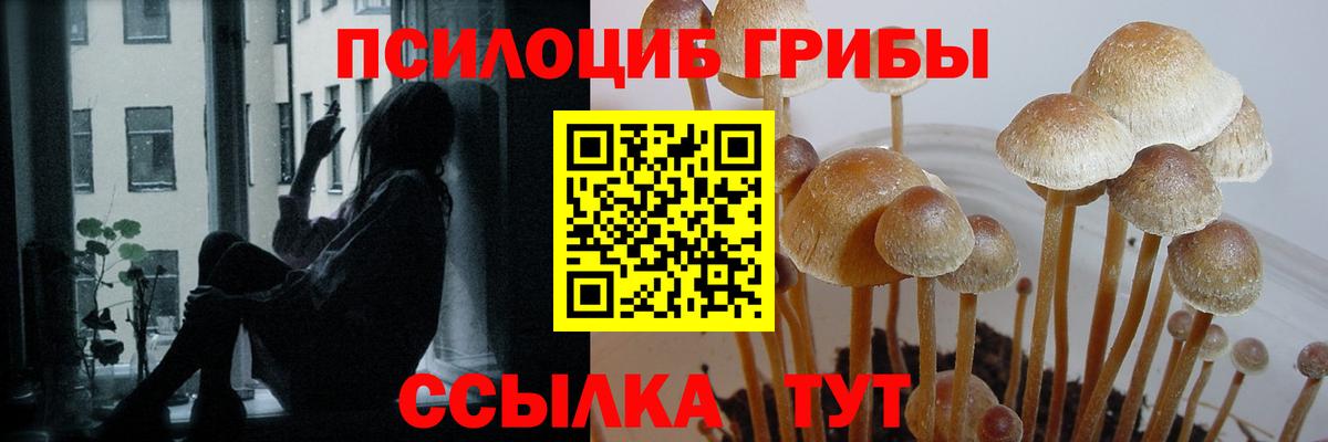 Псилоцибиновые грибы MAGIC MUSHROOMS  Вход с VPN  Котовск 